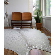 Loloi Bryce BZ 09 Stone / Silver Area Rug Rugs Loloi 
