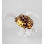 Lladro Porcelain Sea Turtle I Figurine Figurines Lladro 