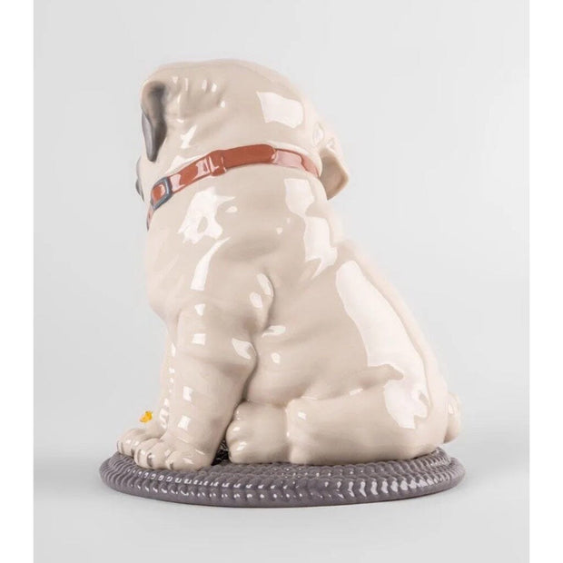 Lladro Porcelain Puppie Pug Figurine Figurines Lladro 