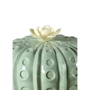 Lladro Porcelain Astrophytum Cactus Diffuser - Gardens of Valencia Figurines Lladro 