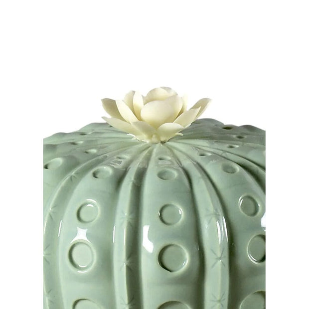 Lladro Porcelain Astrophytum Cactus Diffuser - Gardens of Valencia Figurines Lladro 