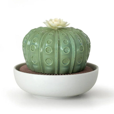 Lladro Porcelain Astrophytum Cactus Diffuser - Gardens of Valencia Figurines Lladro 